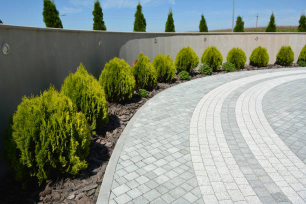 Best Affordable Driveway Paving  in Oglethorpe, GA